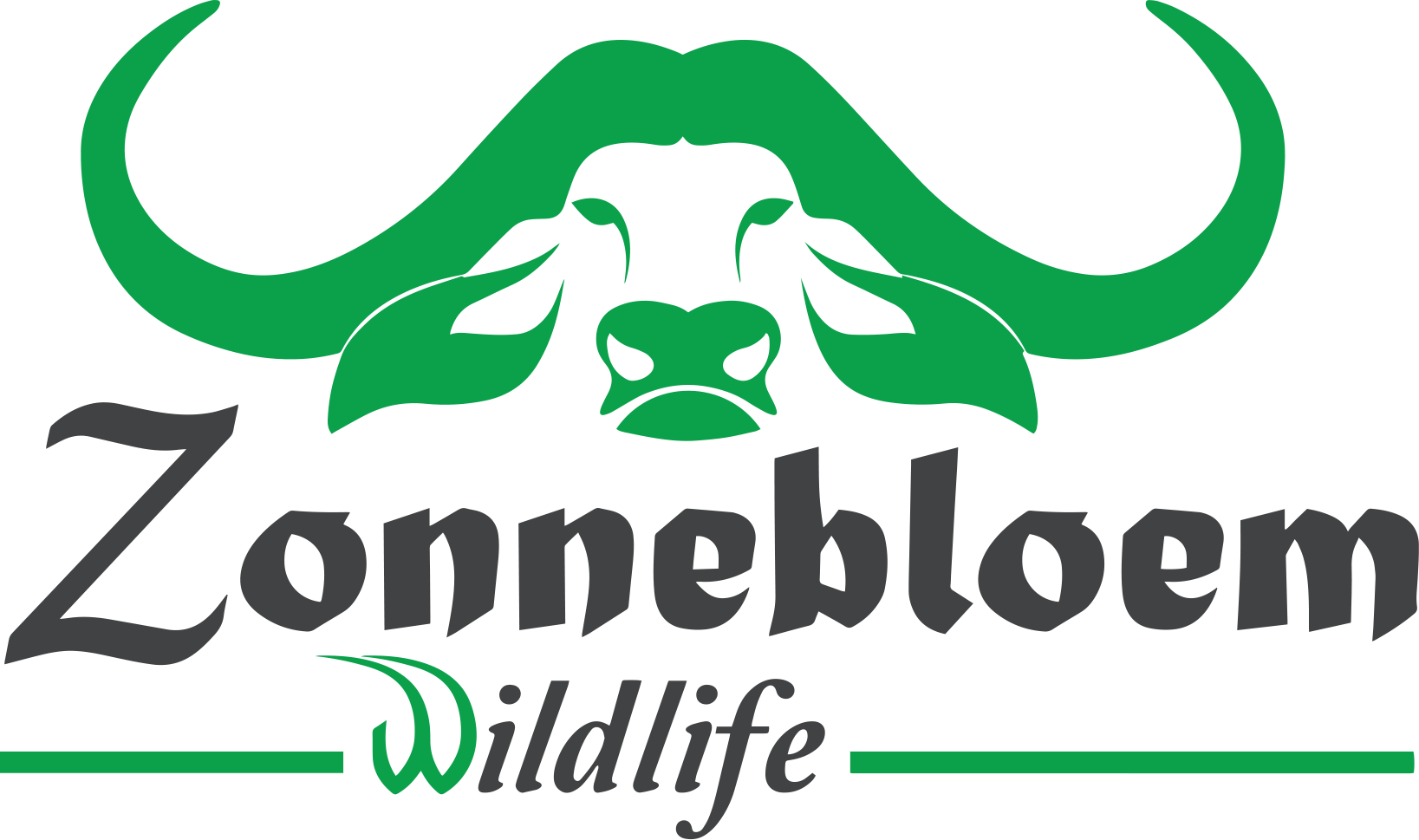 Zonnebloem