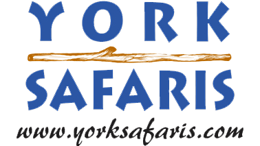 York logo