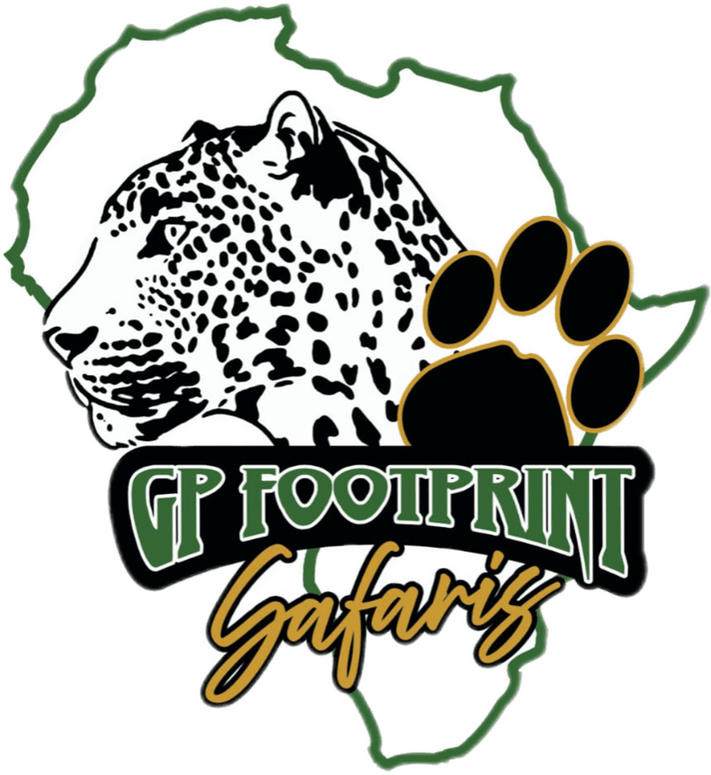 GP Footprint