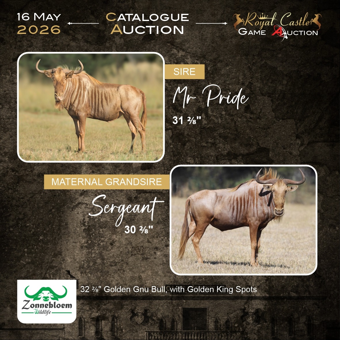 Lightning Sire