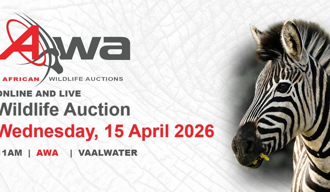 Wildlife Auction 15 April 2026