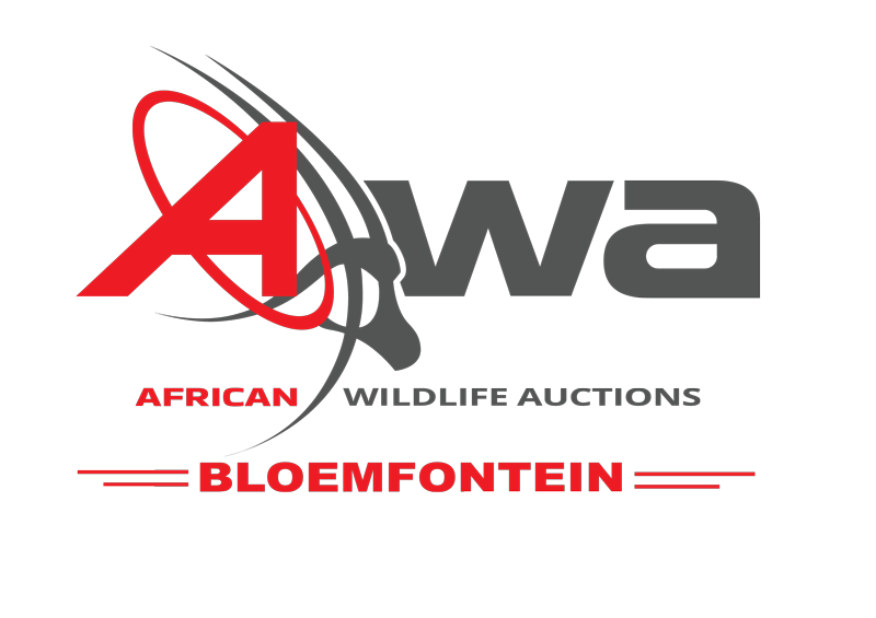AWA Bloemfontein Logo