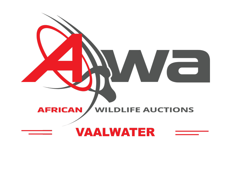 AWA Vaalwater Logo