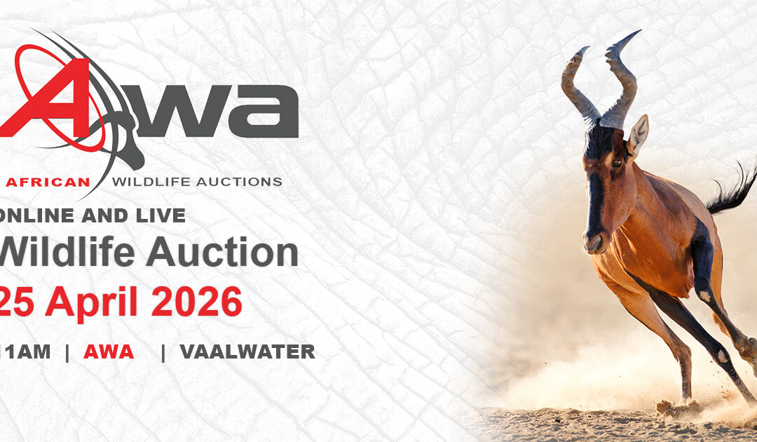 Wildlife Auction 25 April 2026