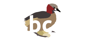 Dabchick Logo