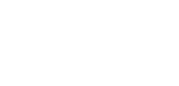 Dries Visser Logo White