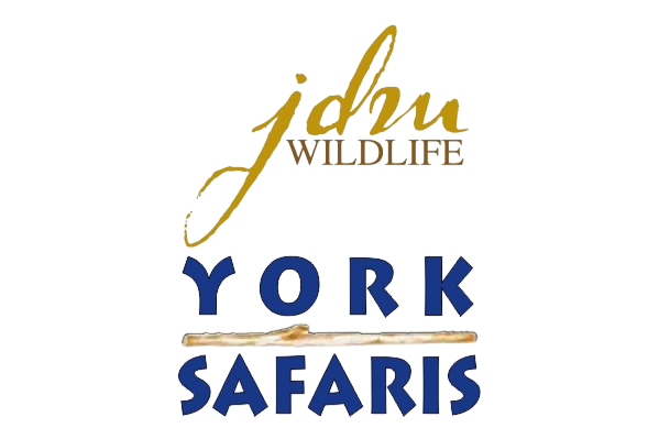JDM & York Logo