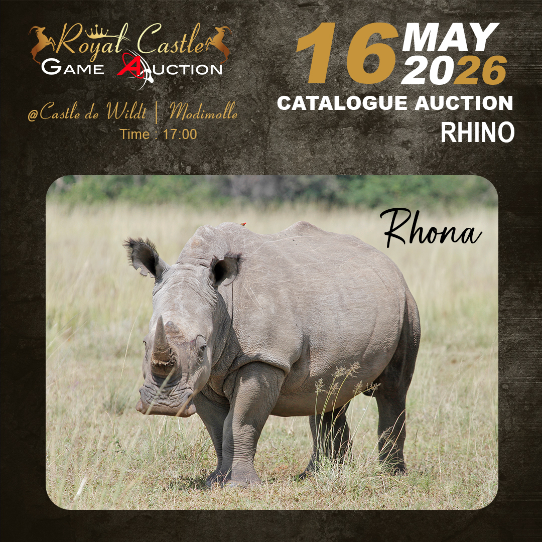 Rhino Rhona
