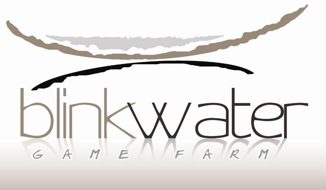 Blinkwater Logo